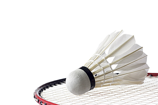 感谢教练给 感谢教练给